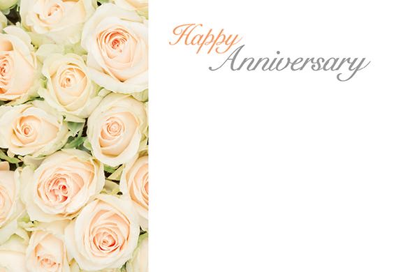 Pack of 50 Florist Cards - Happy Anniversary - Ivory & Green Roses