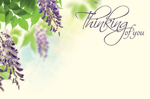 50 Florist Cards - Thinking of You - Wisteria Flowers