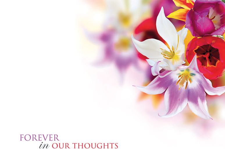 9 Large  Sympathy Message Cards - 12.5 x 9cm - Forever in our Thoughts - Bright Flowers
