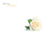 9 Large  Sympathy Message Cards - 12.5 x 9cm - Rest in Peace - Ivory Roses