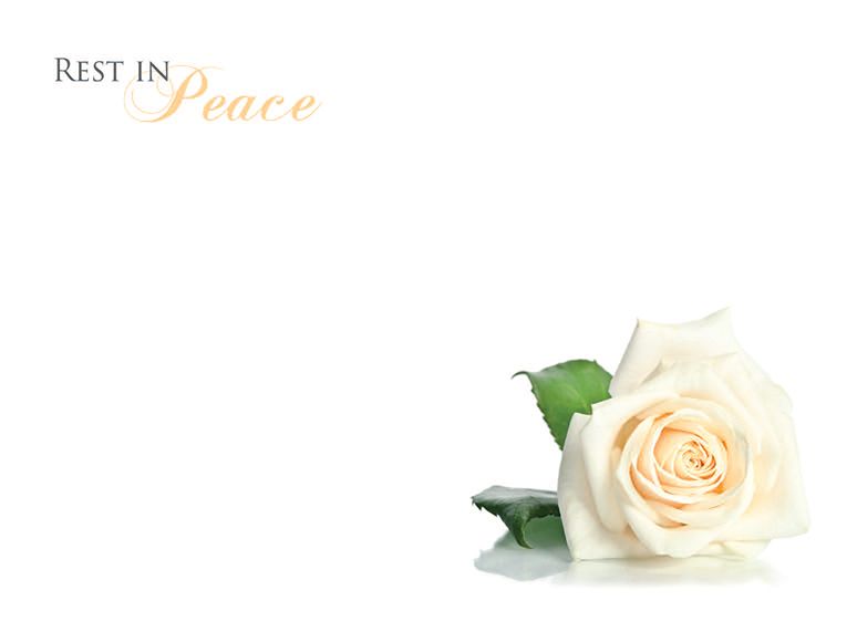 9 Large  Sympathy Message Cards - 12.5 x 9cm - Rest in Peace - Ivory Roses