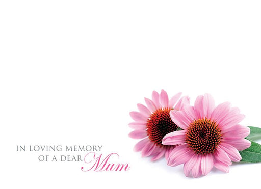 9 Large  Sympathy Message Cards - 12.5 x 9cm - In Loving Memory of a Dear Mum - Pink Daisies