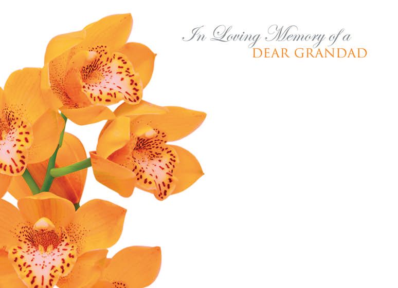 9 Large Sympathy Message Cards - 12.5 x 9cm - In Loving Memory of a Dear Grandad - Orange