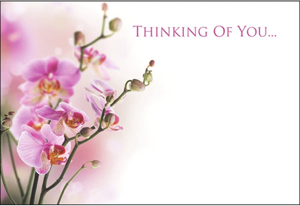 50 Florist Cards - Thinking of You - Orchids
