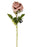 Single Stem Rose x 62cm - Dusky Pink