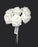 6 Stem Foam Roses - All White