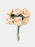 6 Head Foam Rose Bunch -  Peach