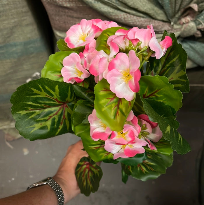 7 Stem Geranium Bush x 42cm - Pink