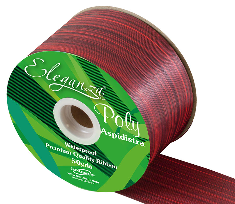 Poly Ribbon Aspidistra 50mm x 50yds Red