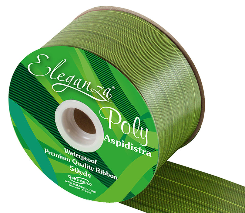 Poly Ribbon Aspidistra 50mm x 50yds - Spring Green