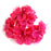 Small Spring Blossom 5 Stem Hot Pink  - 5cm Head Size