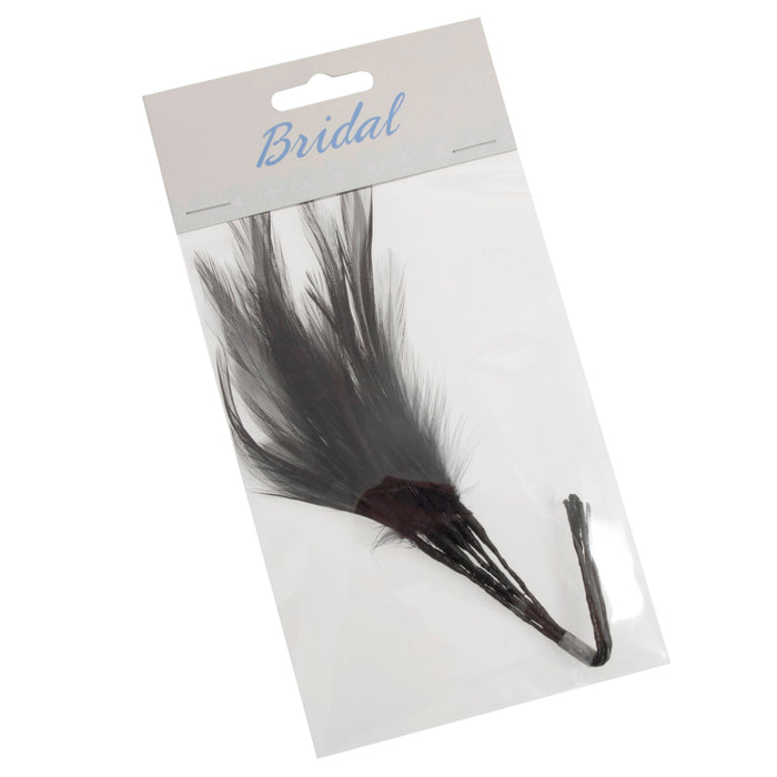 Narrow Feathers x 6 - Black