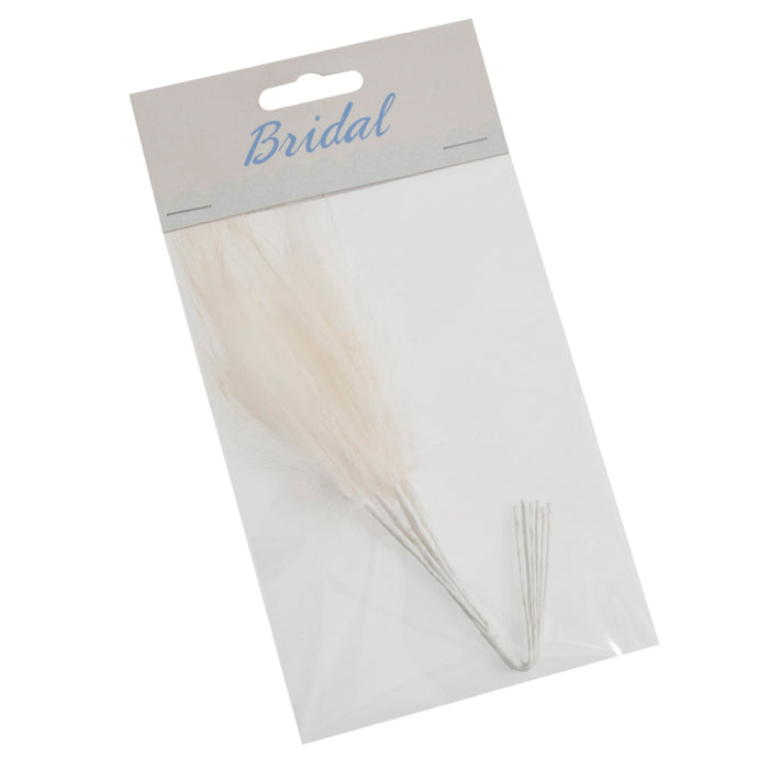 Narrow Feathers x 6 - Ivory