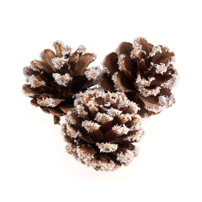 9 Frosted Pine Cones