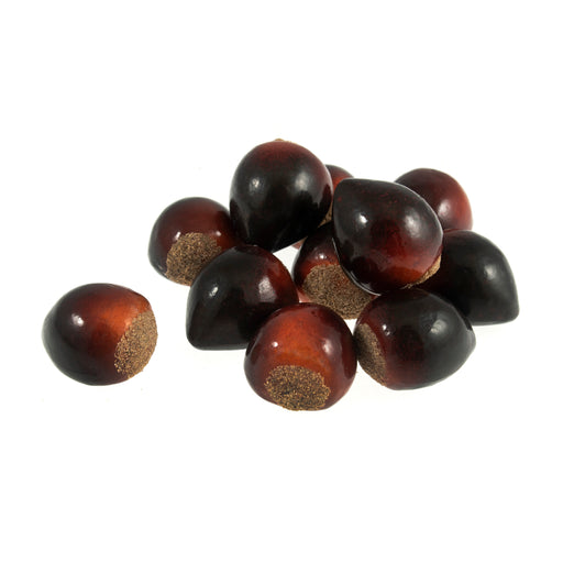 Horse Chestnuts - Box of 24 
