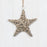 21cm Willow Star