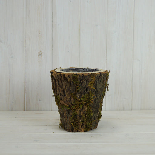 Round Mossed Bark Wooden Pot x 16cm
