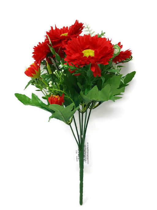 Bellis Gerbera Daisy Flower Bush x 30cm - Red