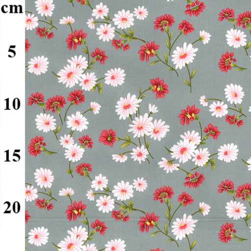 1 Metre Aster Daisy on Grey Background Fabric Width: 112cm (44 inches)