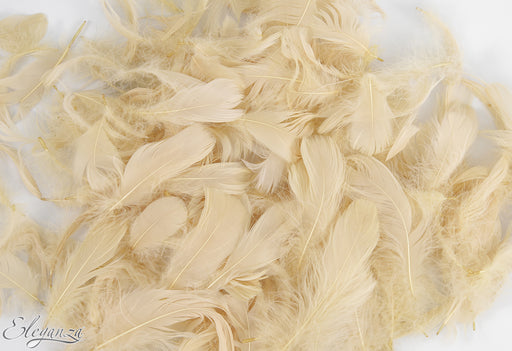 Craft Marabout Feathers Mixed sizes 3inch-8inch 8g bag - Pampus