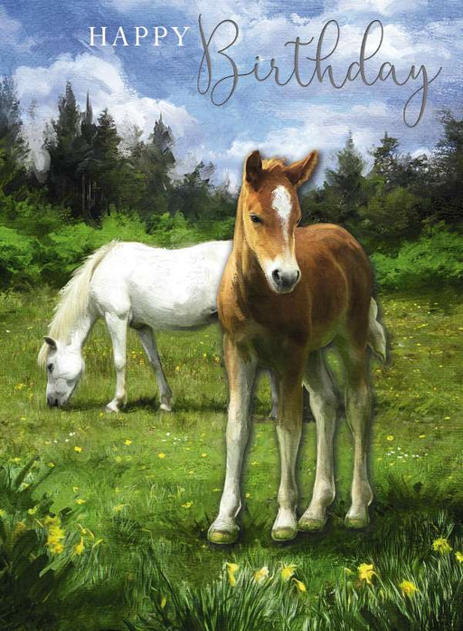 7x5" Card - Happy Birthday - Horse \ Horses