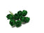 8 Head Foam Rose Bud Bunch - Emerald Green