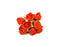 8 Head Foam Rose Bud Bunch - Orange