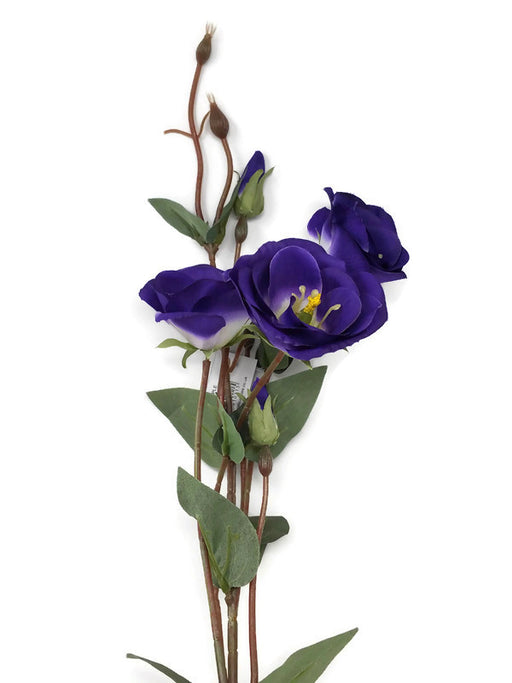 Lisianthus Spray x 70cm - Purple