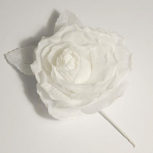 Garden Corsage Rose - White