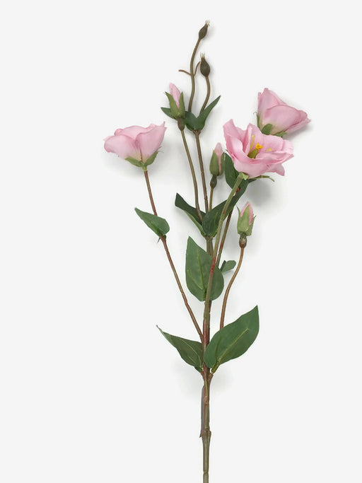 Pink Lisianthus Spray x 70cm