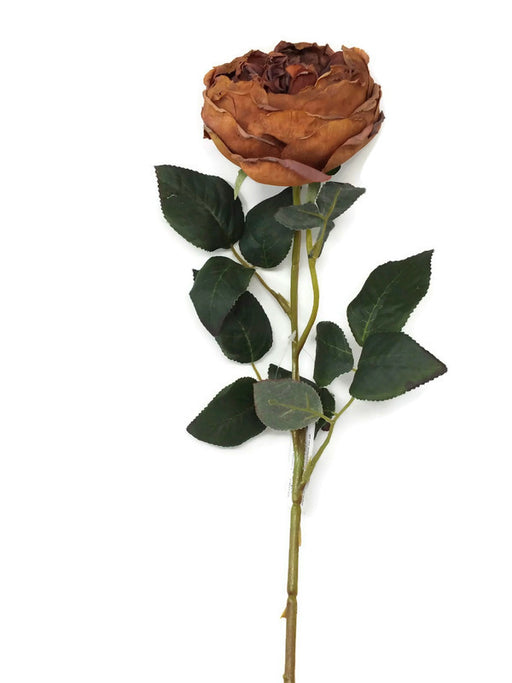 Single Stem Artificial Dried Style Peony x 60cm - Autumn Brown