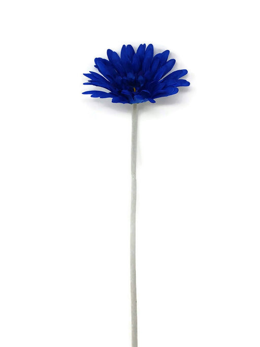Single Stem Gerbera x 50cm - Royal Blue