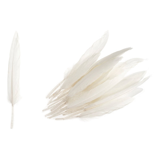 Pack of 24 Duck Feathers - White