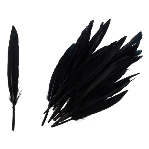 Pack of 24 Duck Feathers - Black