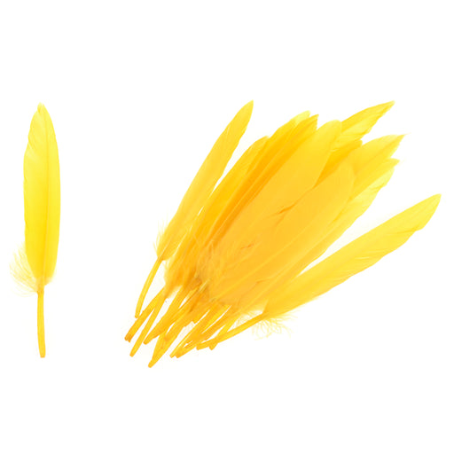 Pack of 24 Duck Feathers - Yellow