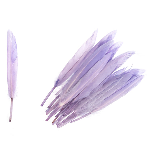Pack of 24 Duck Feathers - Lilac