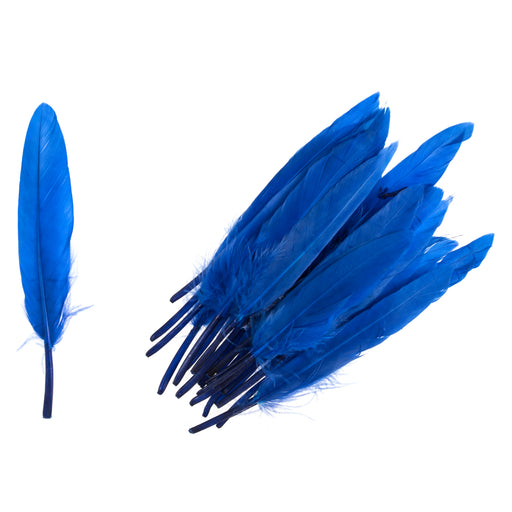 Pack of 24 Duck Feathers - Royal Blue