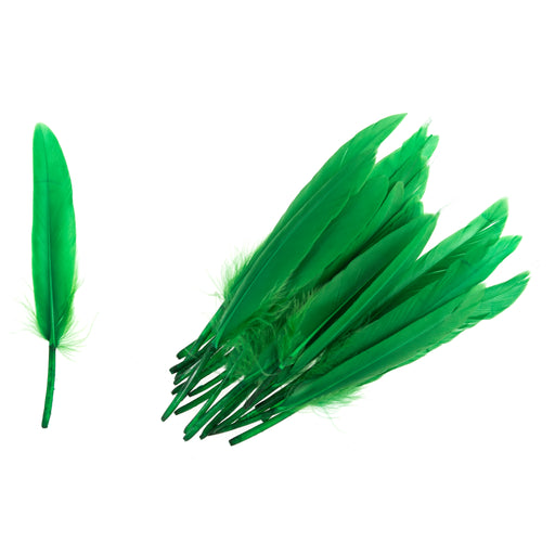 Pack of 24 Duck Feathers - Green
