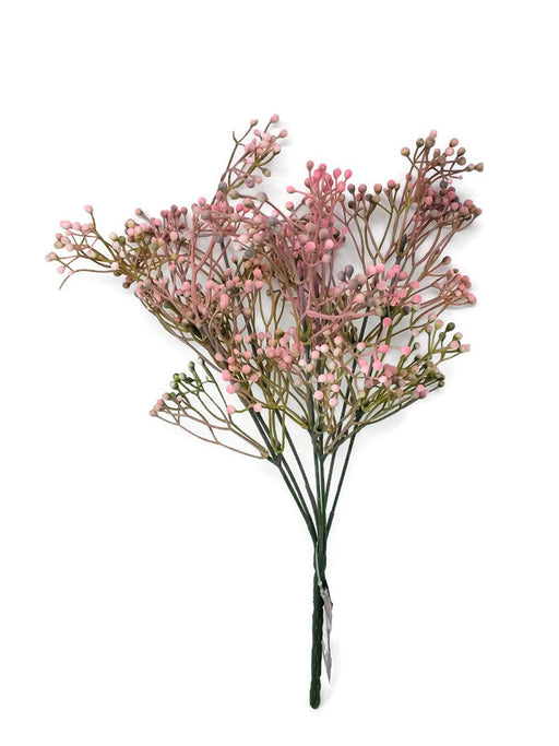 Waxflower Berry Bush - Pink