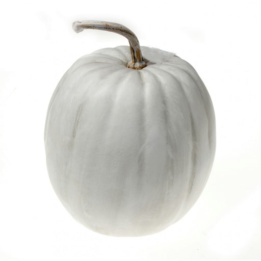 White Ghost Pumpkin - 24cm x 25cm