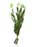 Wild Meadow Seed Stem x 48cm