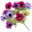 Anemone Bush x 27cm - Purple Cerise and Plum