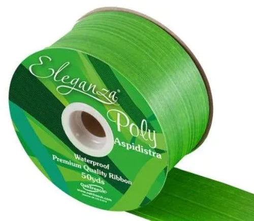 Poly Ribbon Aspidistra 50mm x 50yds -  Daffodil Green