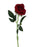 Single Stem Velvet Touch Rose - Burgundy