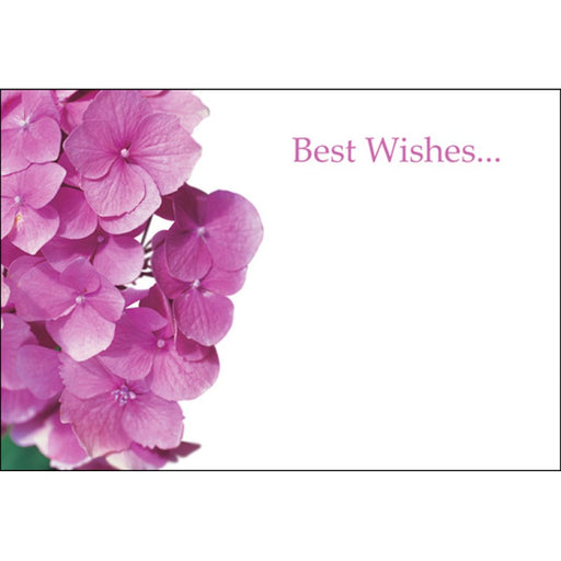 Pack of 50 Florist Cards - Best Wishes Pink Hydrangeas
