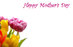 50 Florist Message Cards - Happy Mother's Day Flowers