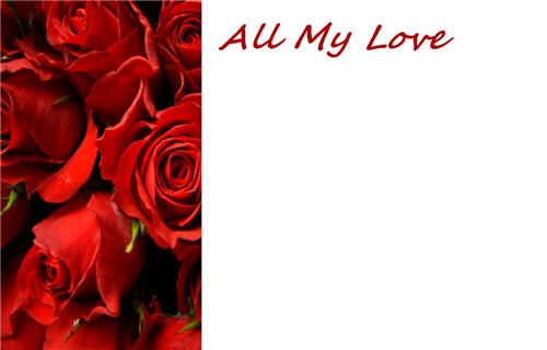 Valentine Florist Message Cards - All My Love x 50