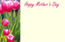 50 Florist Message Cards - Happy Mother's Day - Tulips