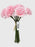 8 Head Carnation Bunch - Pink