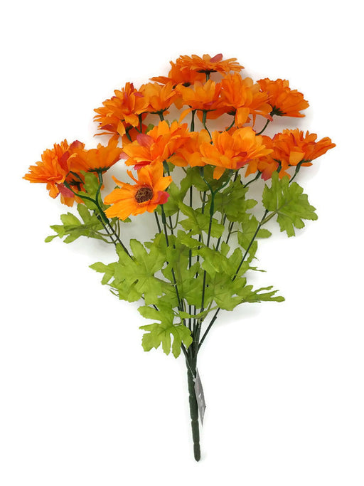 Cosmos Daisy 22 Flower Head Bush - Orange